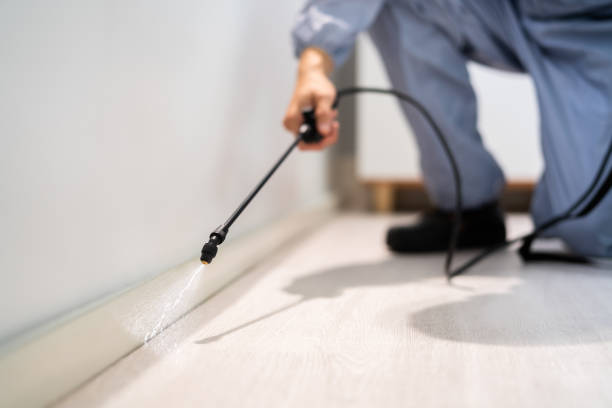 Licensed Termite Control service in Freeman, SD - Nex Pest Control