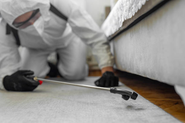 Professional Termite Control technician working in Freeman, SD
