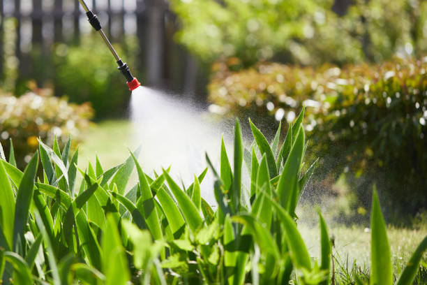 24/7 Emergency Termite Control experts in Freeman, SD